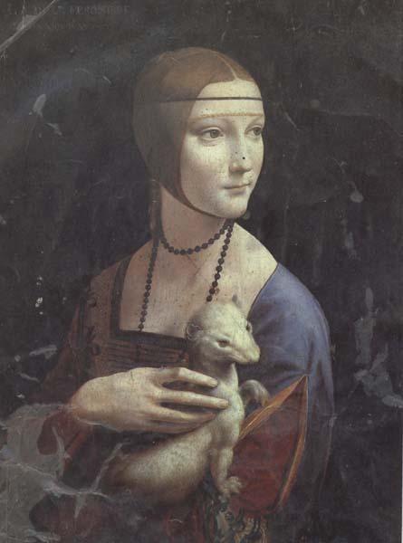 LEONARDO da Vinci Cecila Gallerani (mk45) oil painting picture